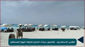 طقس الإسكندرية.. تفاصيل درجات الحرارة وأجواء اليوم المستقرة